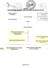 Vista preliminar de documento ORGANIGRAMA 2023-MDM
