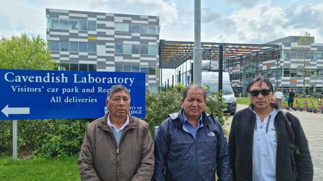 Docentes