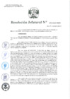 Vista preliminar de documento Resolución Jefatural N.° 272-2021-INEI