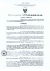 Vista preliminar de documento 2030