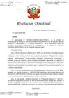 Vista preliminar de documento RD 087-2023