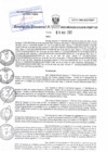 Vista preliminar de documento RD N°0039