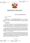 Vista preliminar de documento RD 089-2023