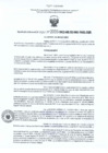 Vista preliminar de documento 2033