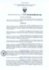 Vista preliminar de documento 2034