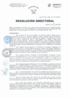 Vista preliminar de documento Resolución Direccional N°110-2022-DIRESA