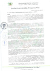Vista preliminar de documento RA_324_2023_MDI