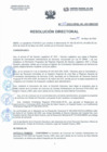 Vista preliminar de documento Resolución Direccional N°115-2022-DIRESA