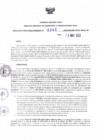 Vista preliminar de documento RDR N° 0247-2023-16-05-2023