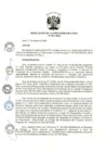 Vista preliminar de documento RESOLUCIÓN DE LA DIRECCIÓN EJECUTIVA N“ 051-2023