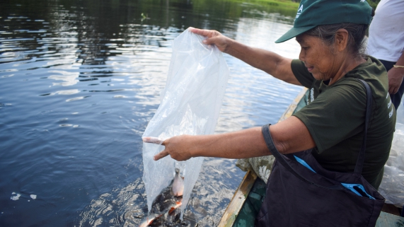 PESCA
