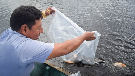 PESCA