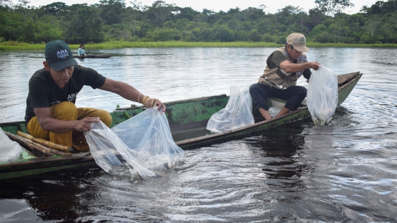 PESCA