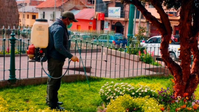 Personal de la Gerencia de Medio Ambiente, Saneamiento y Servicios y la Sub Gerencia de Parques Jardines y Conservación de Áreas Verdes de la Municipalidad Provincial de Puno, inició desde tempranas horas de la mañana, con el tratamiento fitosanitario de las distintas especies de flores ornamentales de los parques céntricos de la Ciudad Lacustre.