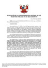 Vista preliminar de documento Resolución de la Superintendencia Nacional de los Registros Públicos N°091-2023-SUNARP/SN
