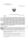 Vista preliminar de documento REA N° 049-OEA-INMP-2023