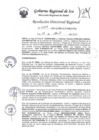 Vista preliminar de documento Resolucion Directoral Regional 0319-2023