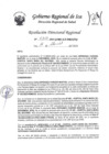 Vista preliminar de documento Resolucion Directoral Regional 0313-2023