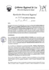 Vista preliminar de documento Resolucion Directoral Regional 0312-2023