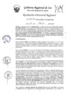 Vista preliminar de documento Resolucion Directoral Regional 0317-2023