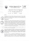 Vista preliminar de documento Resolucion Directoral Regional 0316-2023