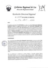 Vista preliminar de documento Resolucion Directoral Regional 0308-2023