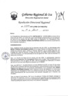 Vista preliminar de documento Resolucion Directoral Regional 0309-2023