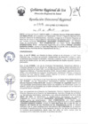 Vista preliminar de documento Resolucion Directoral Regional 0318-2023