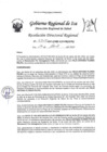 Vista preliminar de documento Resolucion Directoral Regional 0315-2023