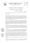 Vista preliminar de documento Resolucion Directoral Regional 0369-2023