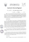 Vista preliminar de documento Resolucion Directoral Regional 0375-2023