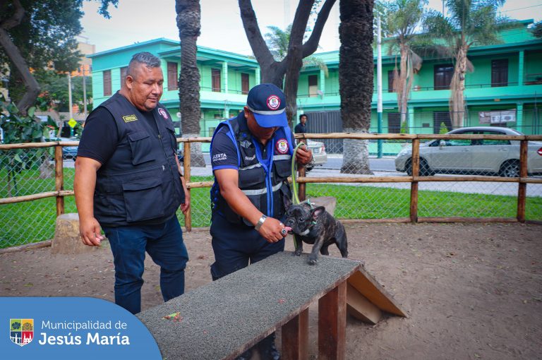 Se realizó una demostración de adiestramiento canino en la nueva zona agility del 📍 Parque Habich. Además instruimos a nuestros vecinos sobre la correcta alimentación, cuidado e higiene que deben seguir los perritos y gatitos en el hogar 🏠 y sobre la importancia recoger sus excretas 💩 cuando los saquen a pasear.
