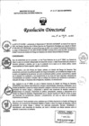 Vista preliminar de documento RD N° 217-2023-DG-INMP/MINSA