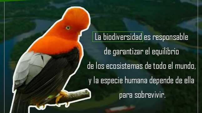DÍA INTERNACIONAL DE LA DIVERSIDAD BIOLÓGICA #22deMayo