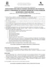 Vista preliminar de documento modalidad b