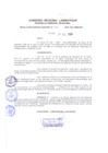 Vista preliminar de documento Resolución Gerencial General RegionallDvto