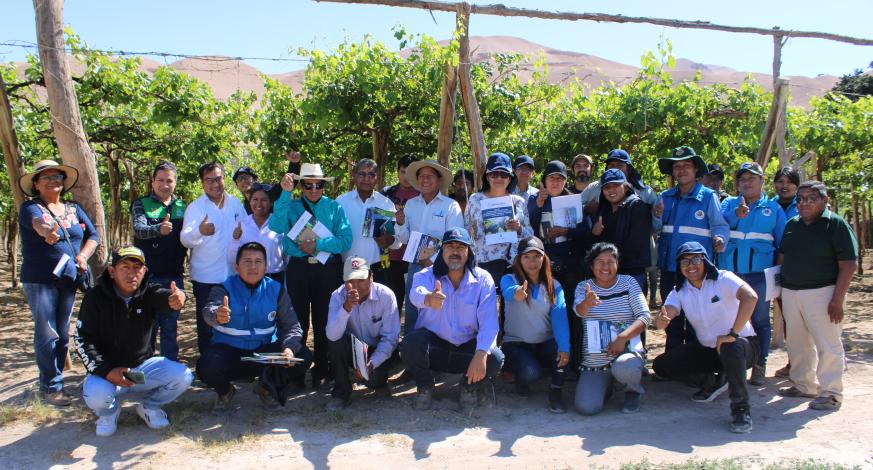 La comuna provincial a través de la Sub Gerencia de Desarrollo Económico, realizó en el Sector Omo del Valle de Moquegua, el taller denominado “Capacitación en fertilización, nutrición foliar y manejo de plagas en producción intensiva en cultivos de uva de mesa”, logrando capacitar a agricultores-productores de uva de mesa.
