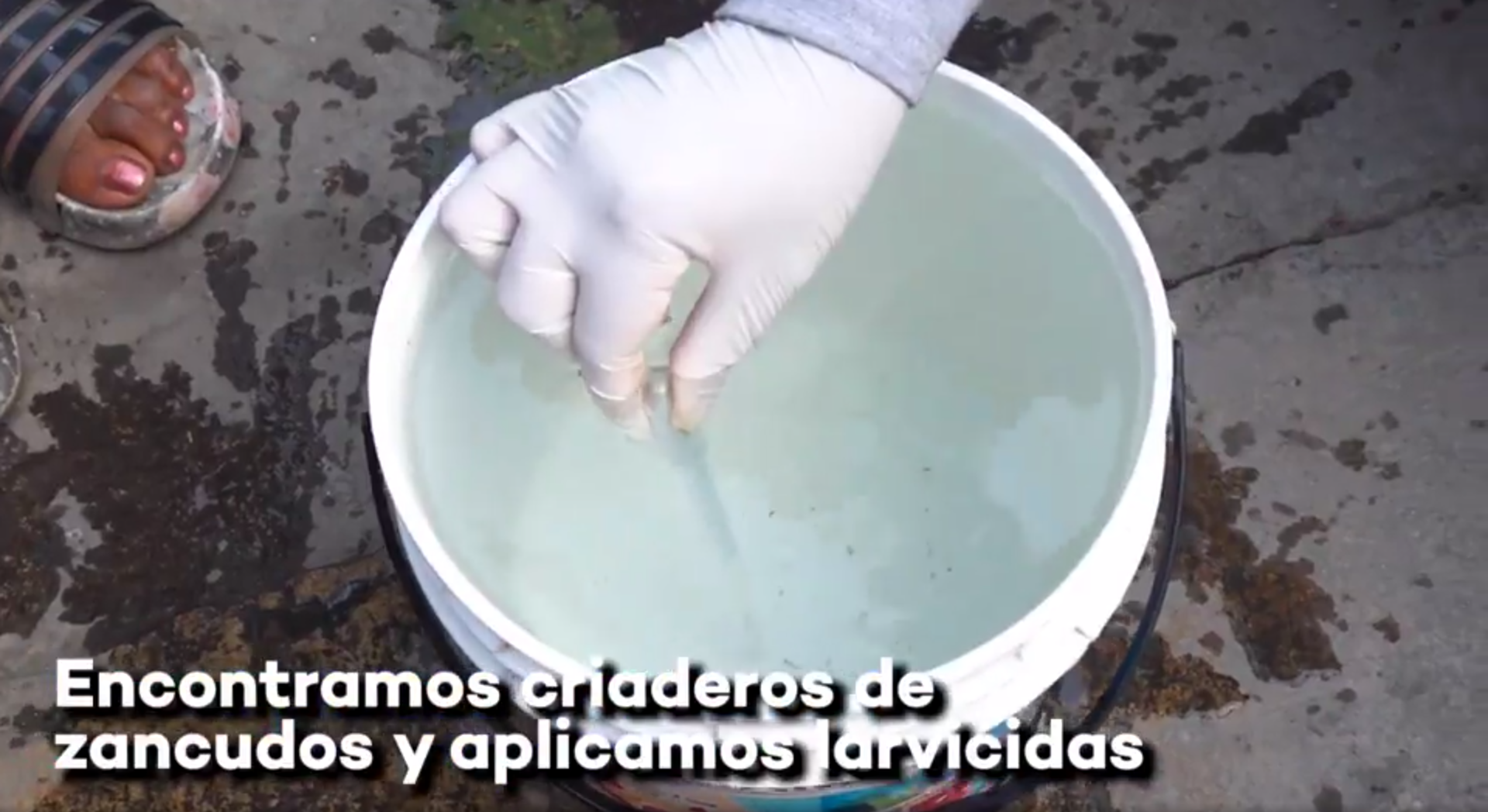 Seguimos con la inspección de todas las zonas del Callao.
