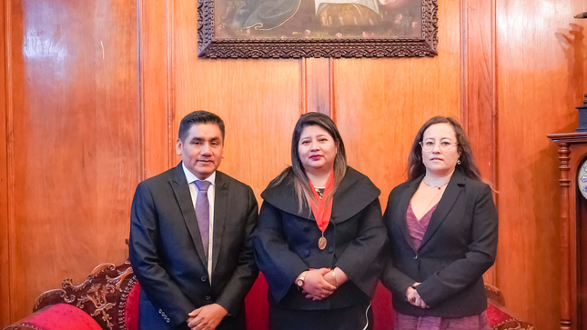 Reunión Equipo Técnico del EJE No Penal con la Presidenta de la Corte de Cusco
