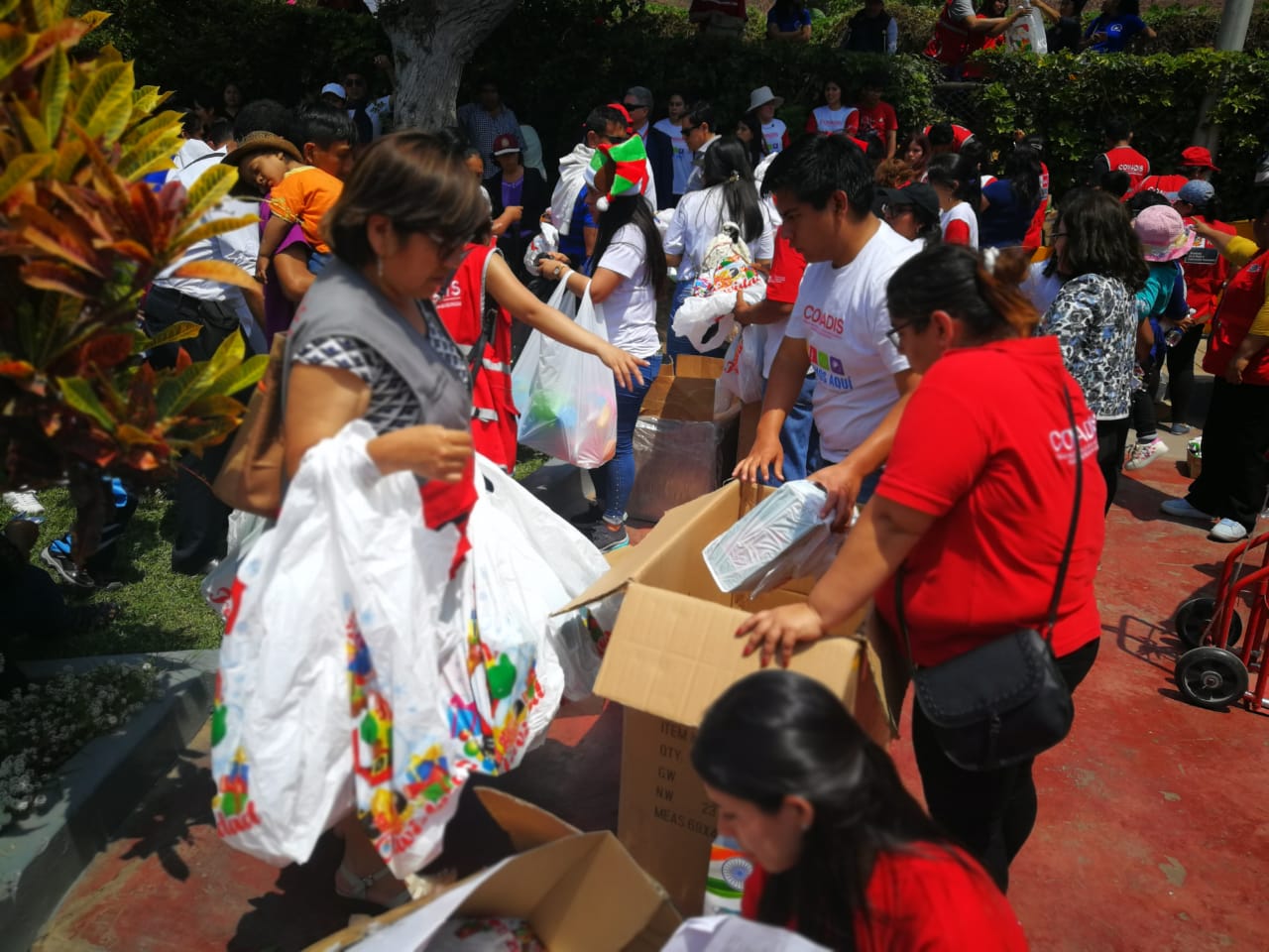 NAVIDAD PARQUE