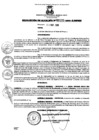 Vista preliminar de documento resolucion1332019