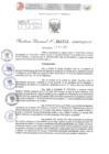 Vista preliminar de documento Resolución Directoral. Nº 1713 - 2023