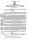 Vista preliminar de documento resolucion1552019