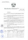 Vista preliminar de documento Resolución Jefatural N.° 294-2021-INEI