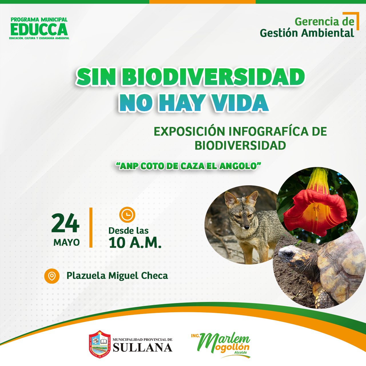 exposición infográfica de biodiversidad denominada ANP COTO DE CAZA EL ANGOLO