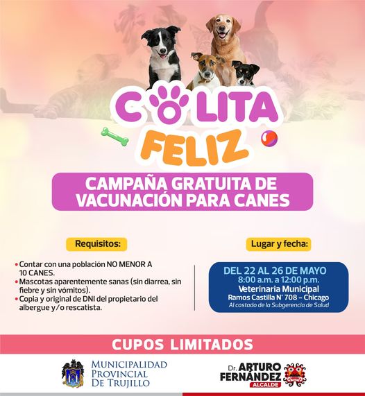 Afiche promocional sobre vacunación para canes.