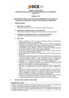 Vista preliminar de documento Anexo N° 01 - Puesto/s Vacante/s