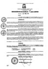 Vista preliminar de documento resolucion2122019