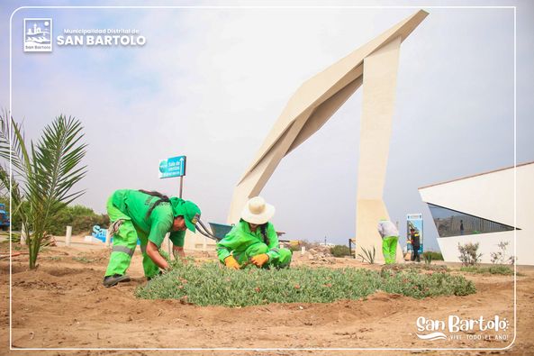 El día de hoy la Municipalidad de San Bartolo, realizó una jornada de retiro de maleza y sembrado de plantas en la entrada "Cruz de Hueso"