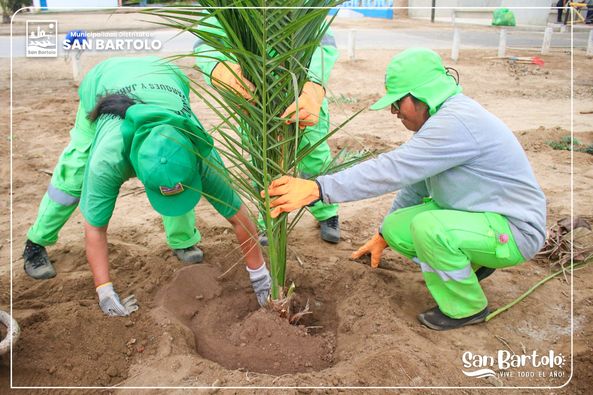El compromiso y la colaboración entre la Comunidad y la Municipalidad son fundamentales para construir un entorno más limpio y agradable que beneficie a todos.